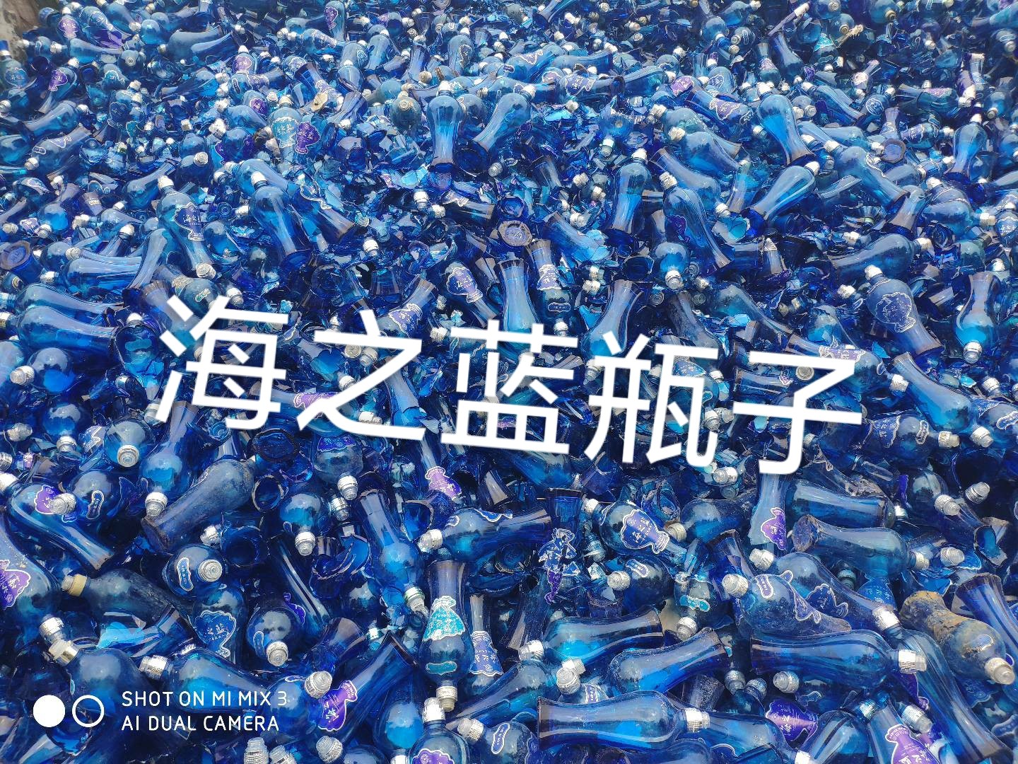 江宁区海之蓝瓶回收